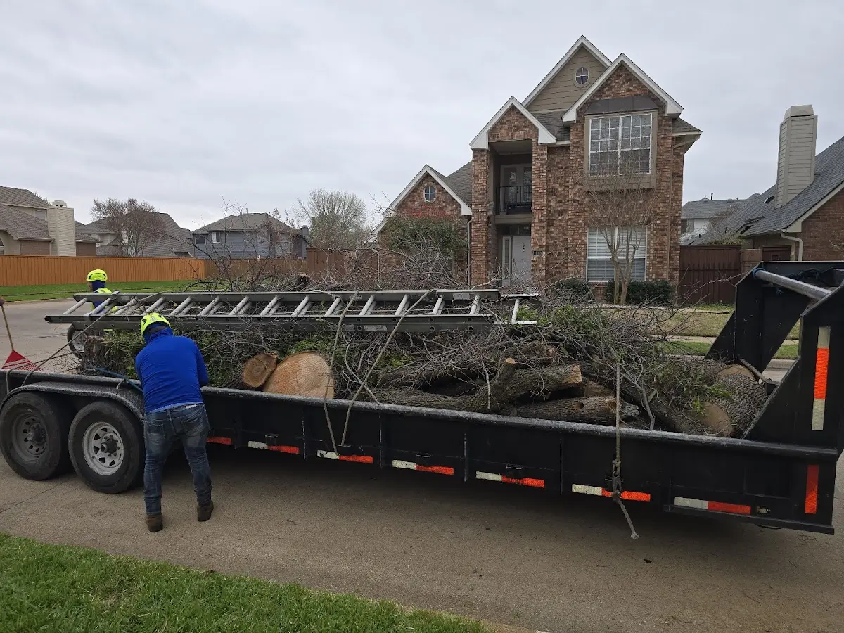 Expert Tree Pest Control with proper safety equipment in Stuart